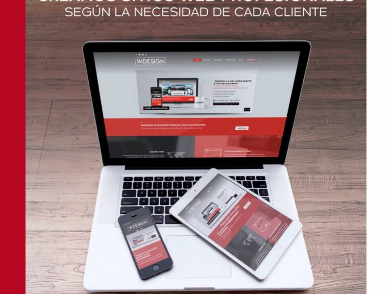Especialistas P&aacute;ginas Web Profesional Puerto montt - WDesign - Diseño Web Profesional